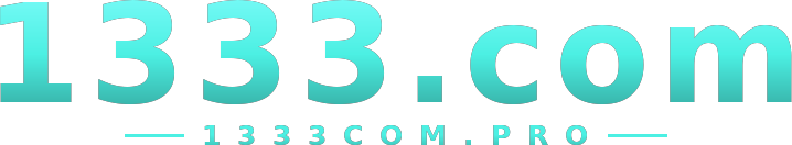 1333.com logo